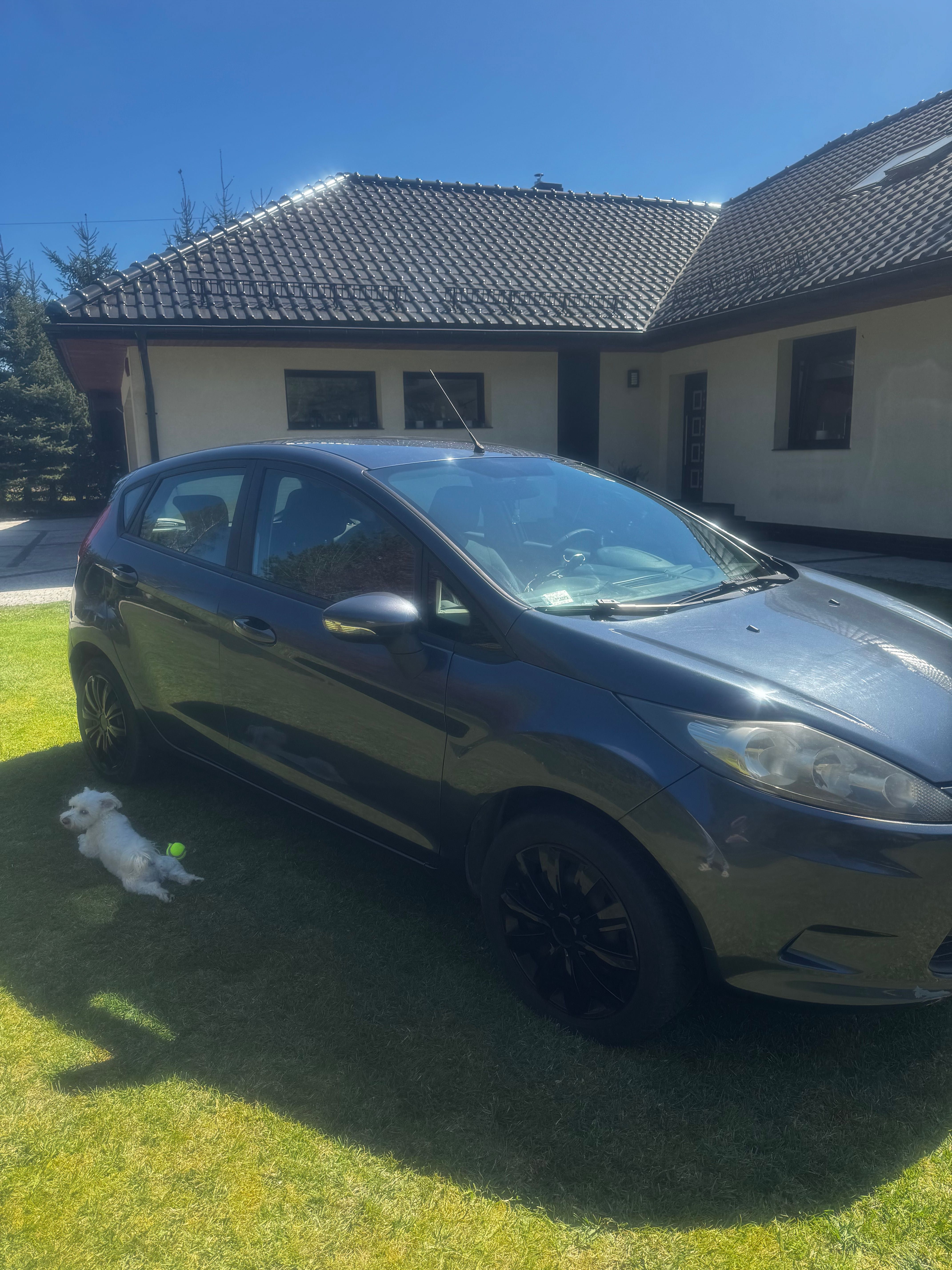 Ford Fiesta 1.25 Silver X
