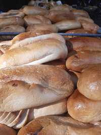 Chleb paszowy  marchew paszowa