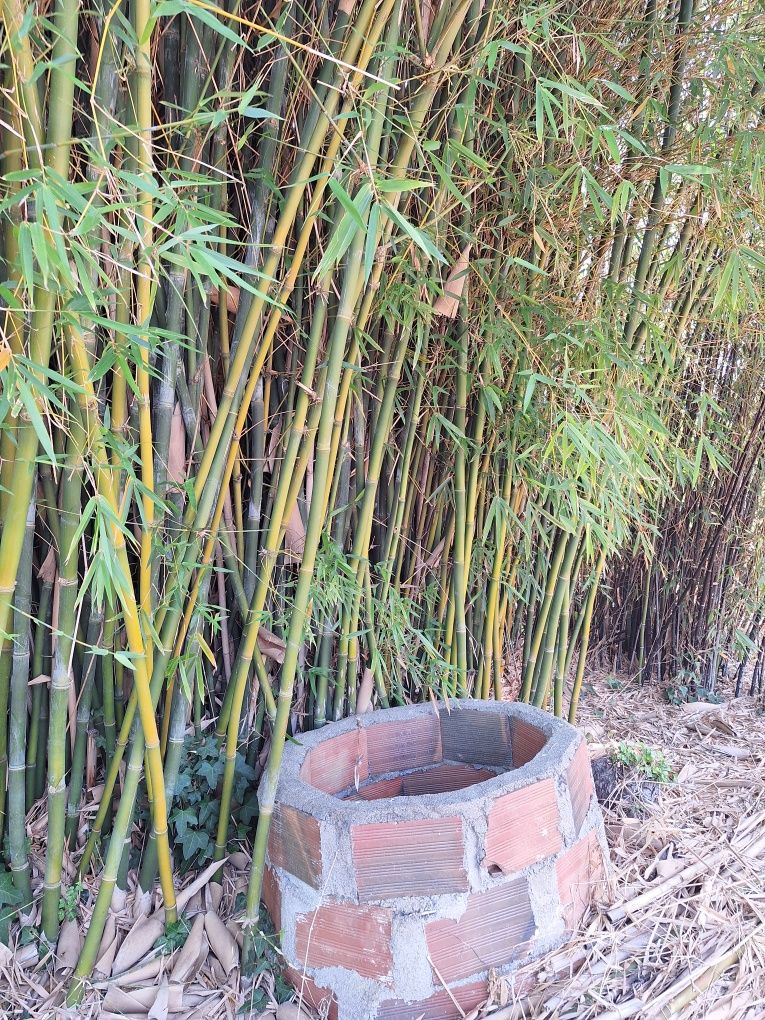 Terreno  com 17000 quadrados bem localizado