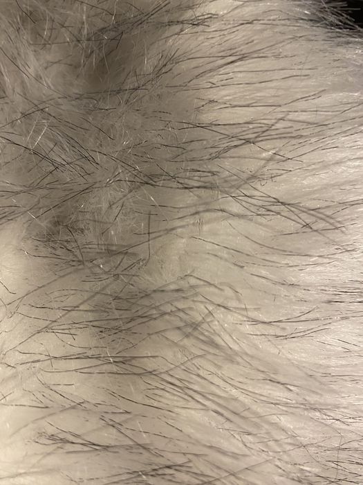 Futro sztuczne włos 60mm białe biały srebrny tkanina