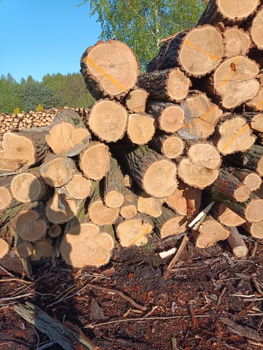 Drewno Kominkowe z Darmową Dostawą w Łodzi – Sprawdź Nasze Gatunki!