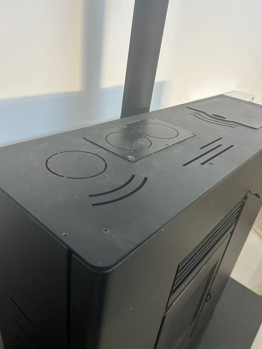 Salamandra a pellets