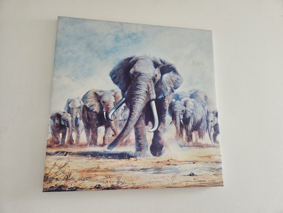 Obraz drukowany słonie