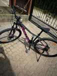 Rower damski Kellys Vanity 30 koła 29