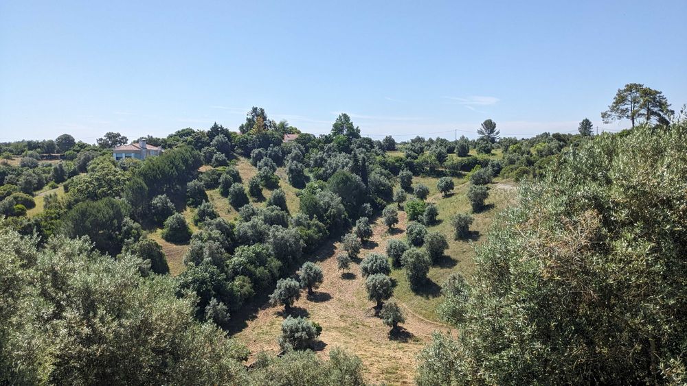 Terreno agrícola em Romeira, Santarém – 2,1 hectares