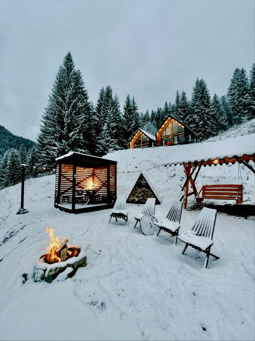 БУДИНОЧКИ В КАРПАТАХ | Королівське місце | ЧАН