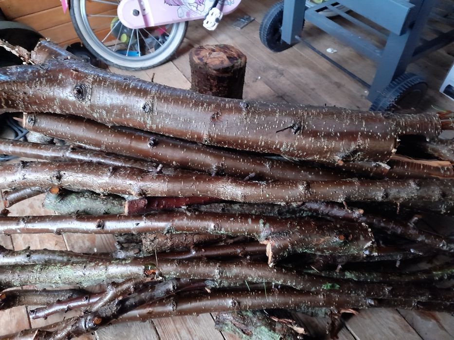 Drewno ze śliwy do wędzenia