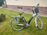 Holenderski rower Sparta ION