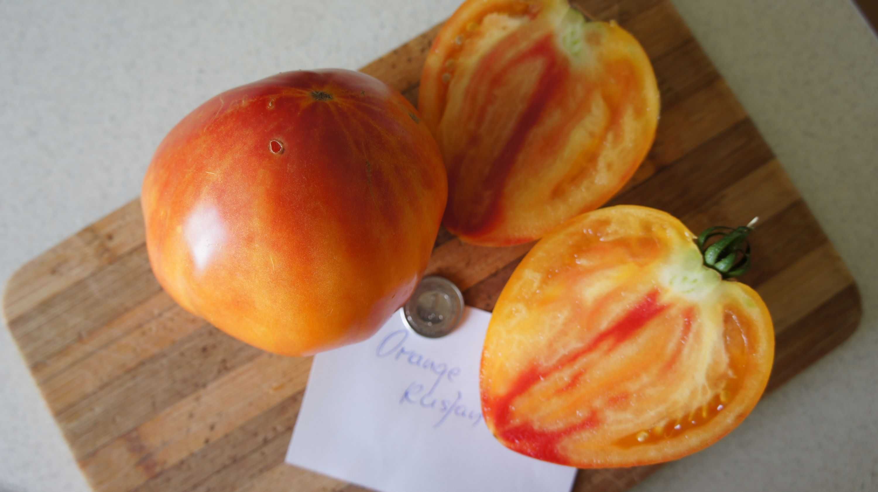 Pomidor Orange rusjan-sadzonka