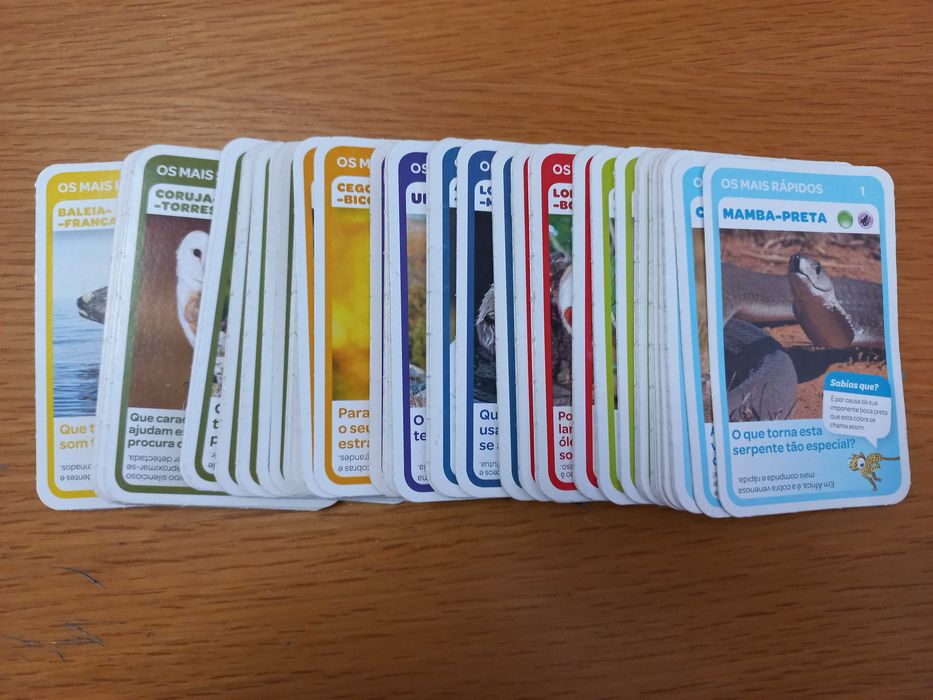 Coleção Super Animais