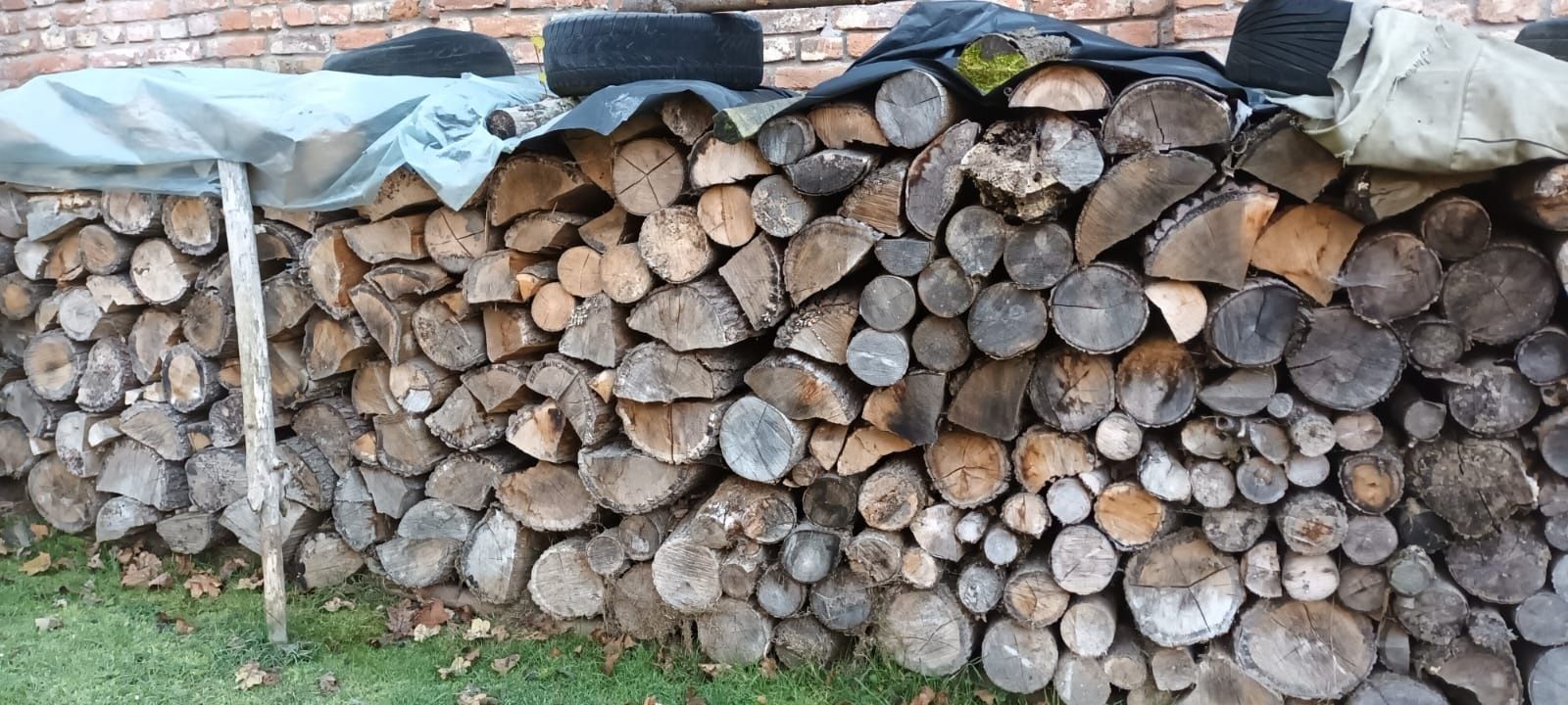 Drewno opałowe sprzedam
