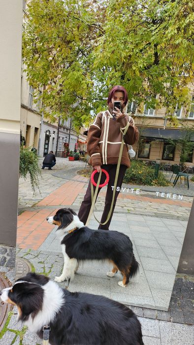 Догляд і перетримка собак Львів. З турботою та любов’ю