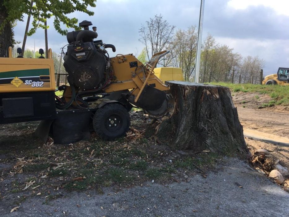 Usługa Frezarką Frezowanie Karp Usuwanie Pni Korzeni