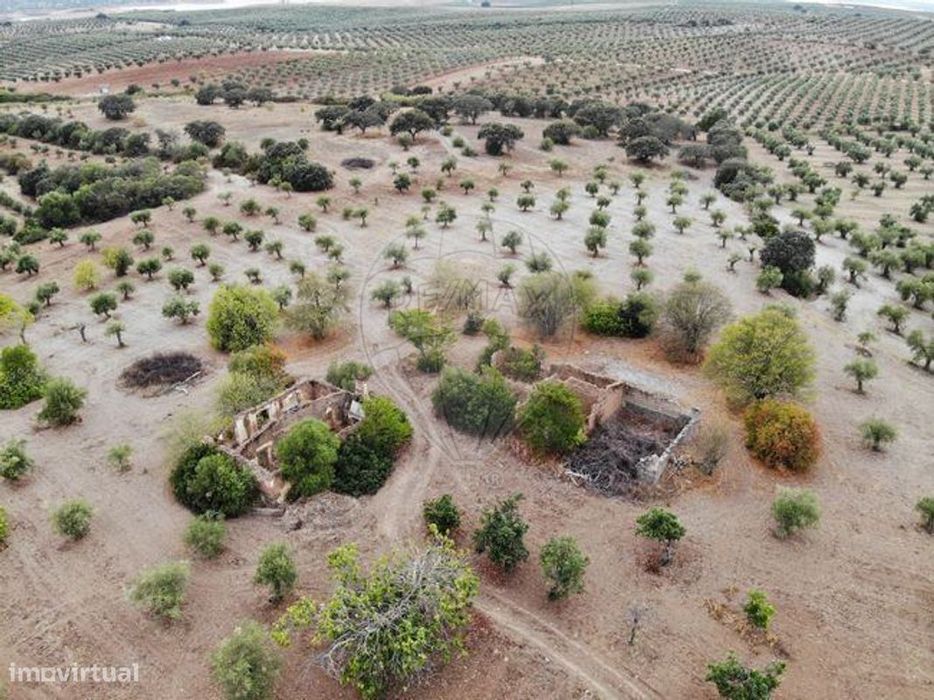 Terreno  para venda