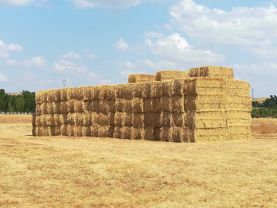 Fardos de Palha Gigantes