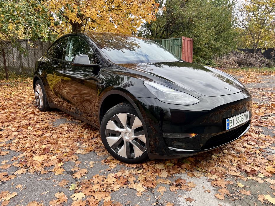 Тесла у Tesla Y 2024
