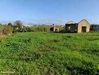 Terreno Agrícola à Venda – Zona da Fogueira, Sangalhos