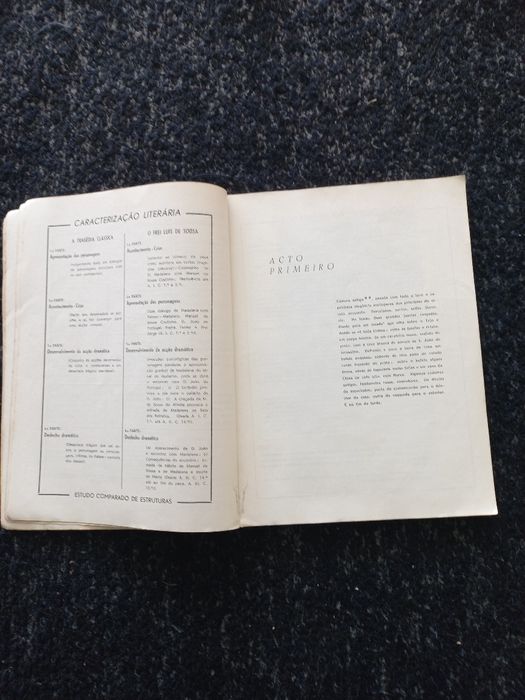 Livro Frei Luís de Sousa