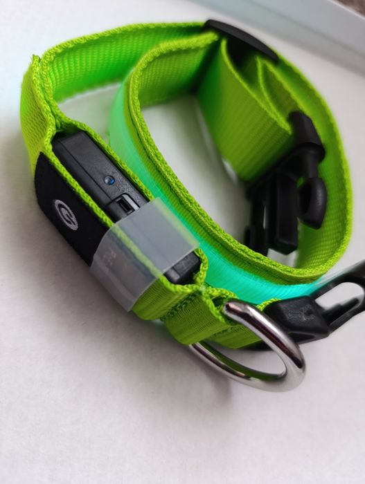 ошийник для тварин