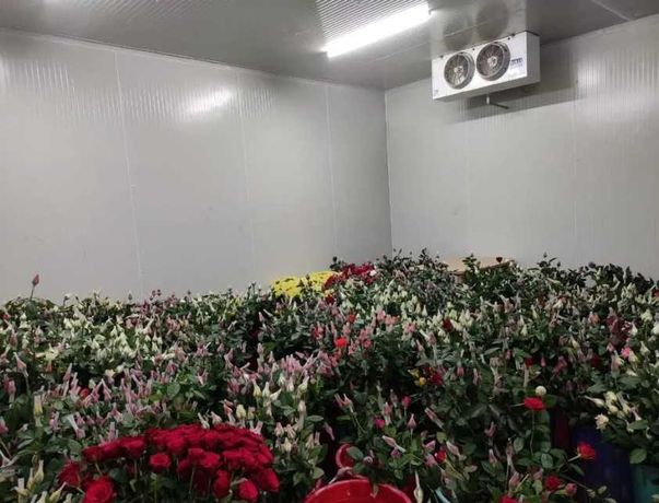 Холодильна квіткова вітрина +3 +7 °C (Київ, Боярка, Макарів)