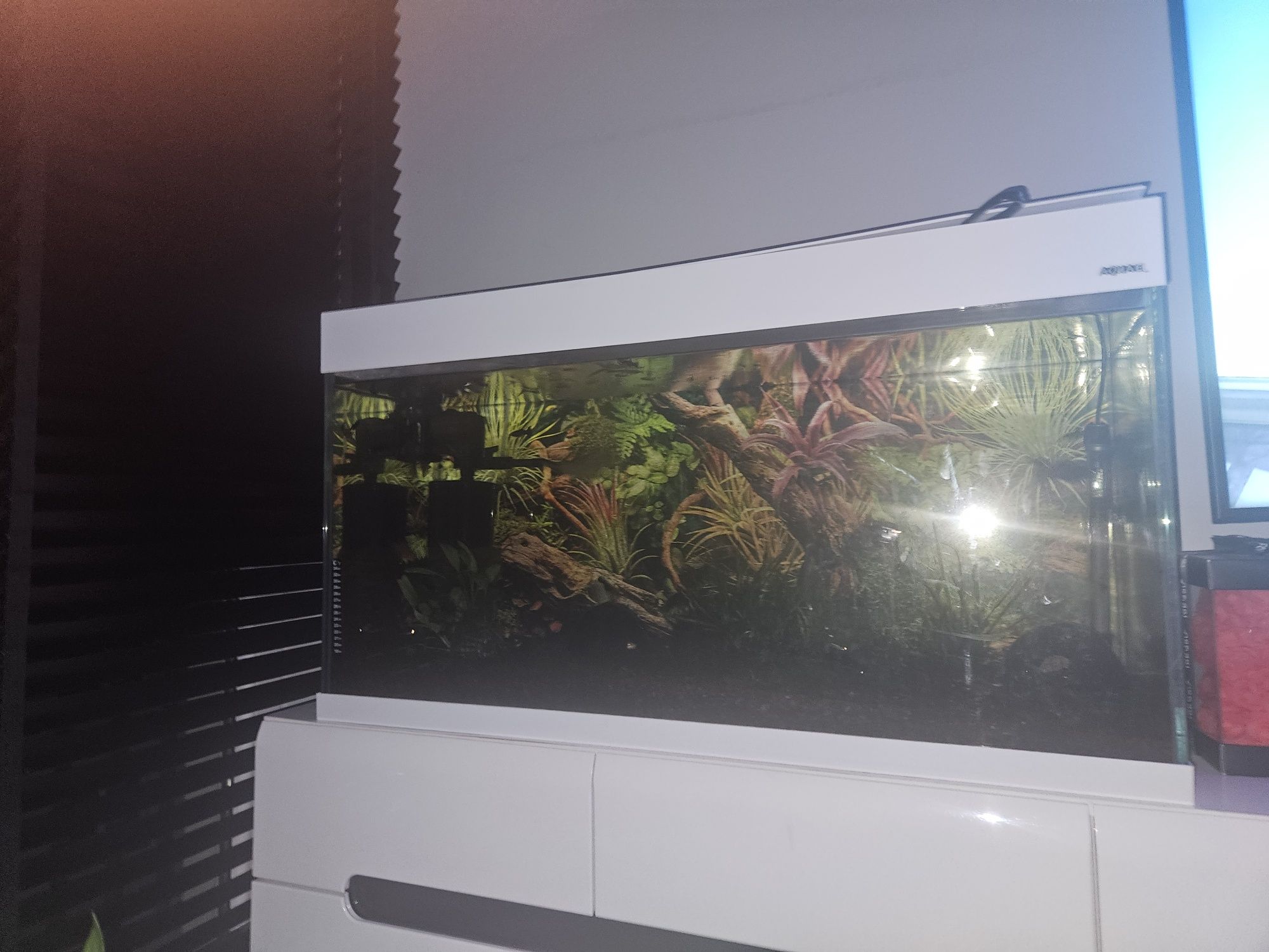 Akwarium 215l aquael