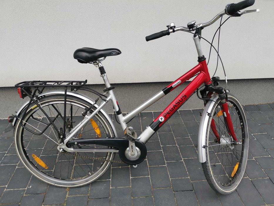 Rower PEGASUS solero