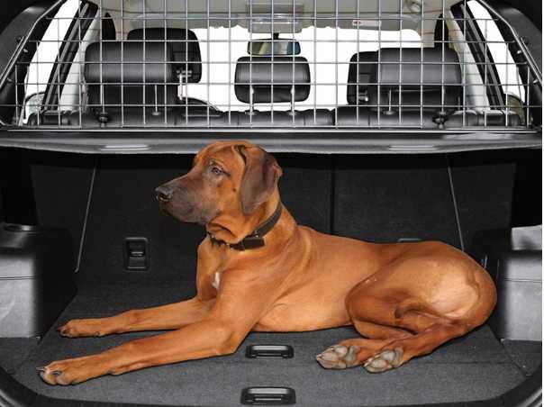Перевозка БОЛЬШИХ собак