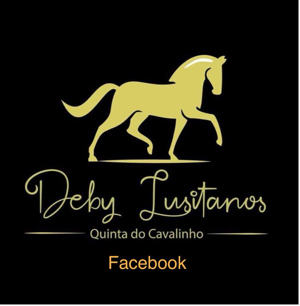 Cavalo Lusitano 10 anos  especial para passeiso, feiras e Golegã !!!
