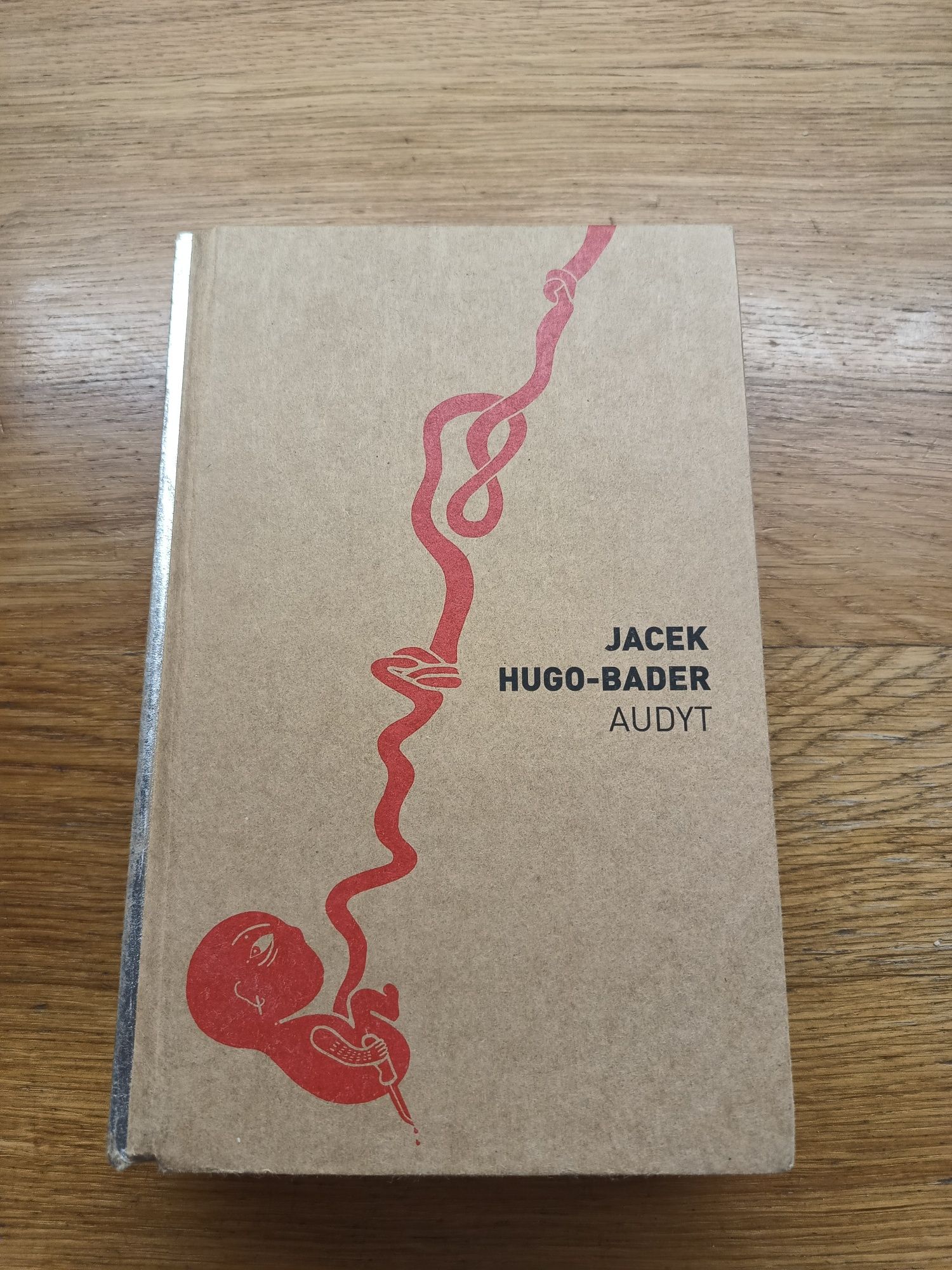 Audyt, Jacek Hugo-Bader
