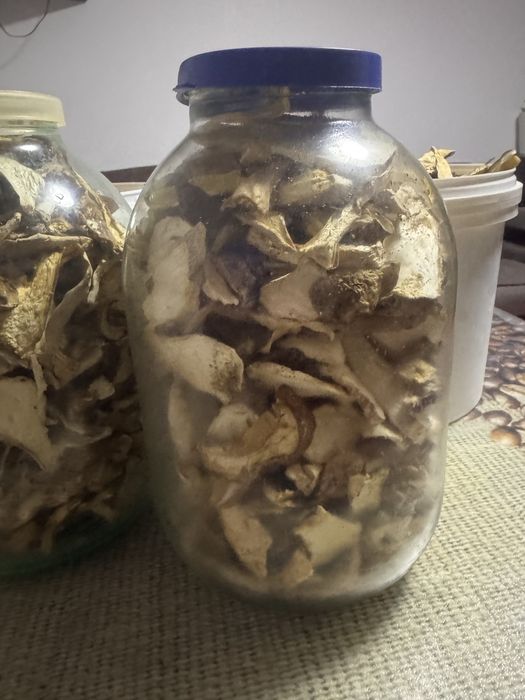 Сушені білі гриби