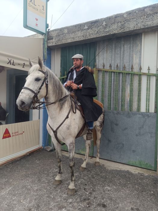 Para venda égua com 7 anos