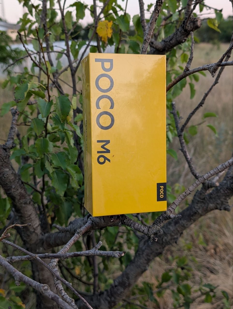 Poco m6 5g (8/256 глобальная версия Masterbox запечатанный)