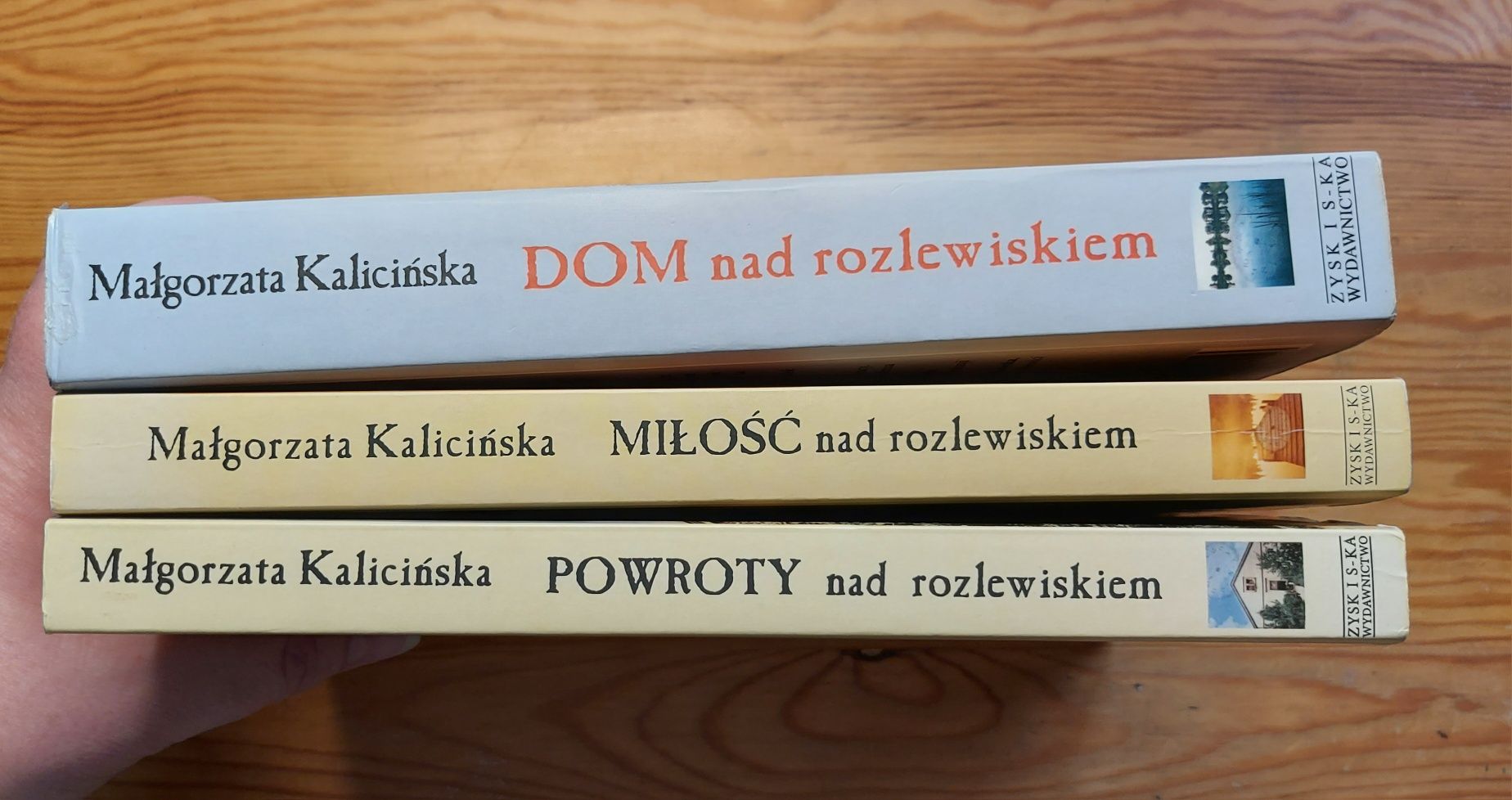 "Dom nad rozlewiskiem" M. Kalicińska, seria 3 książek