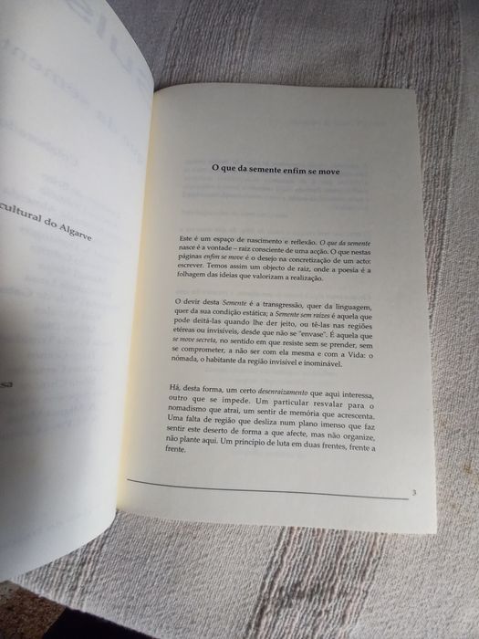 Revista de poesia Sulscrito num 1 verão de 2007