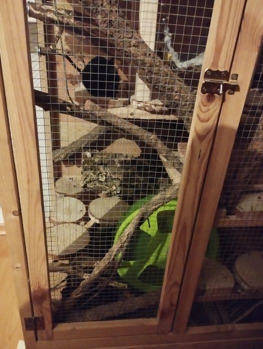 Sprzedam wolierę dla szynszyli, koszatniczek