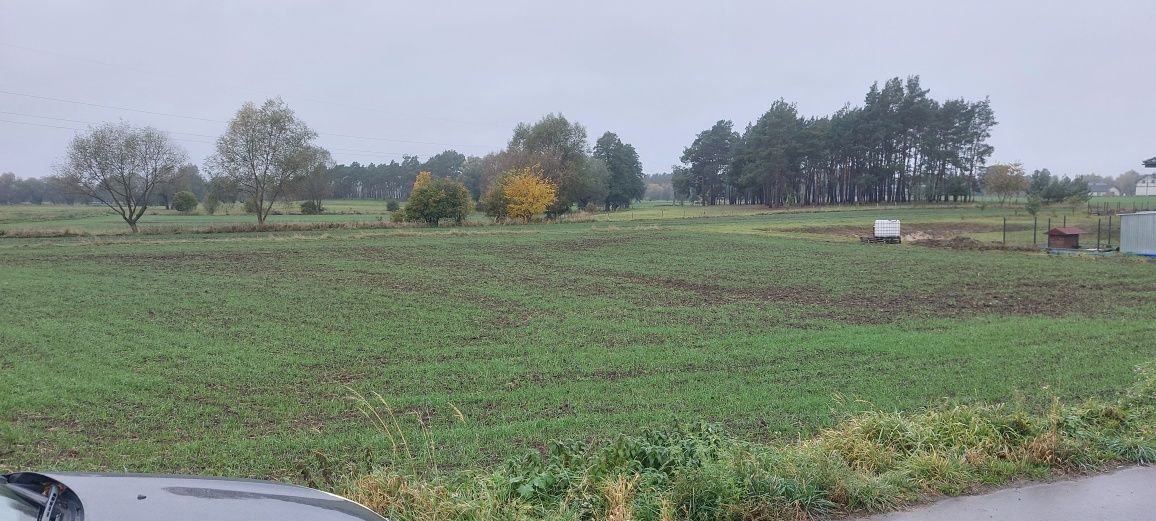 Działka budowlana 3000 m² Brankówka nad kanałem media asfalt okazja!