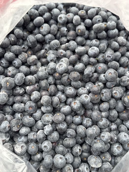 Лохина заморожена