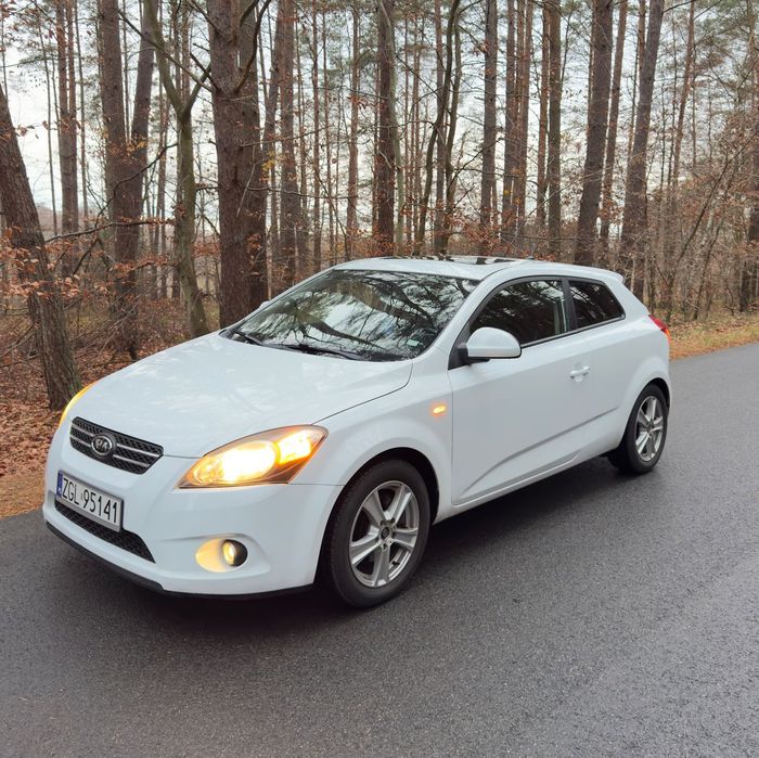 Kia Ceed Kia Ceed 2009 1.6L Benzyna