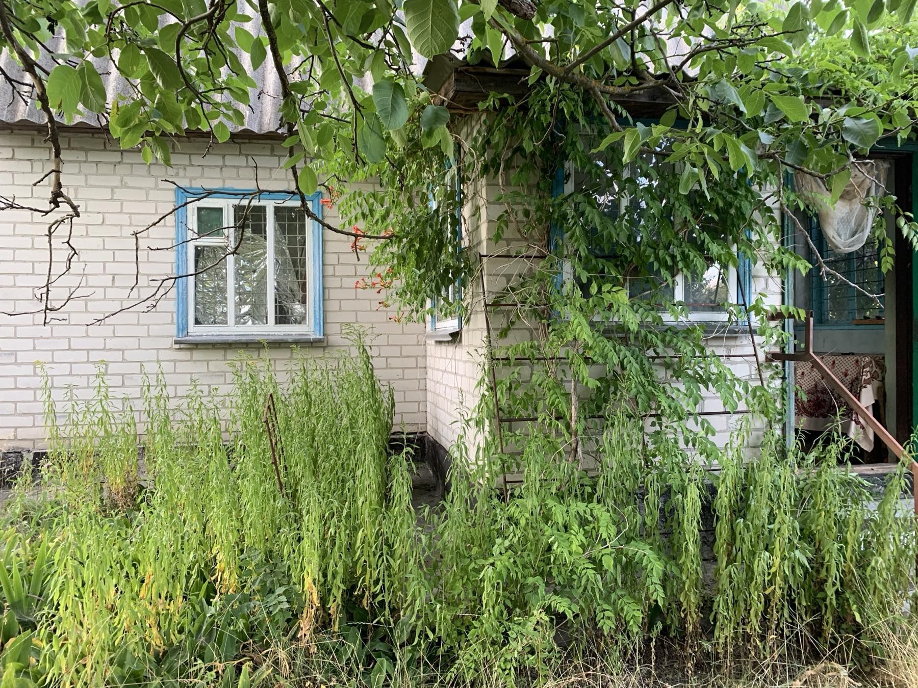 Продам дачу у СТ Фотон