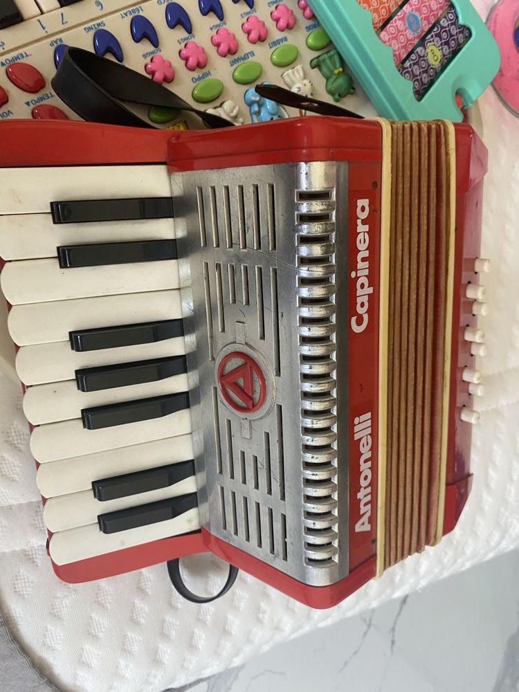 Instrumenty muzyczne acorfeon flet cymbałki elektryczny kyborf