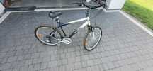 Rower Damski Kross