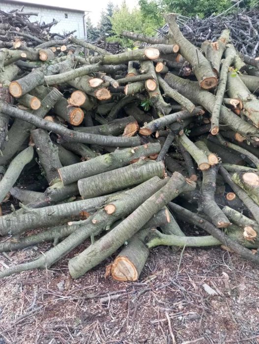 Sprzedam drewno opałowe suche sezonowane