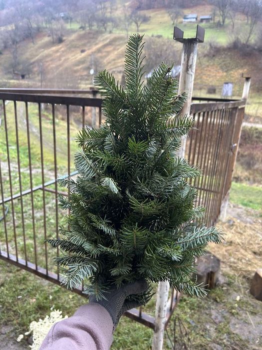 Ялинки (плетені/мотанки)із натуральної гілки