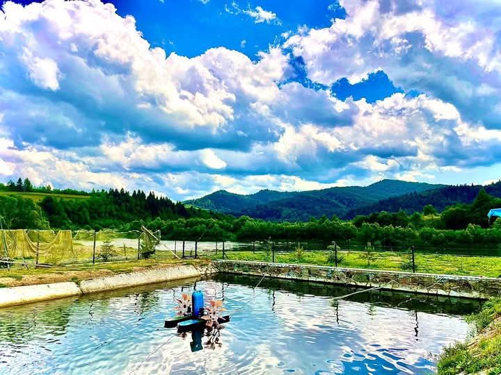 Відпочинок в Карпатах з басейном, чаном, сауною. Є котеджі