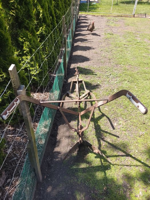 Pielnik obsypnik konny