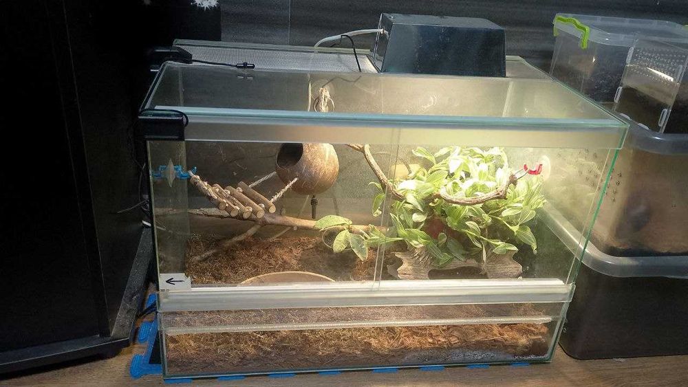 Терарріум 60х35х40