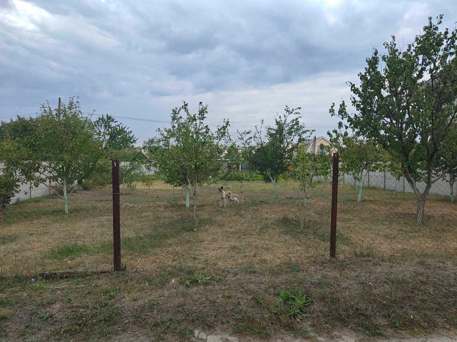 Земельна ділянка неподалік смт.Партизанське біля р.Оріль