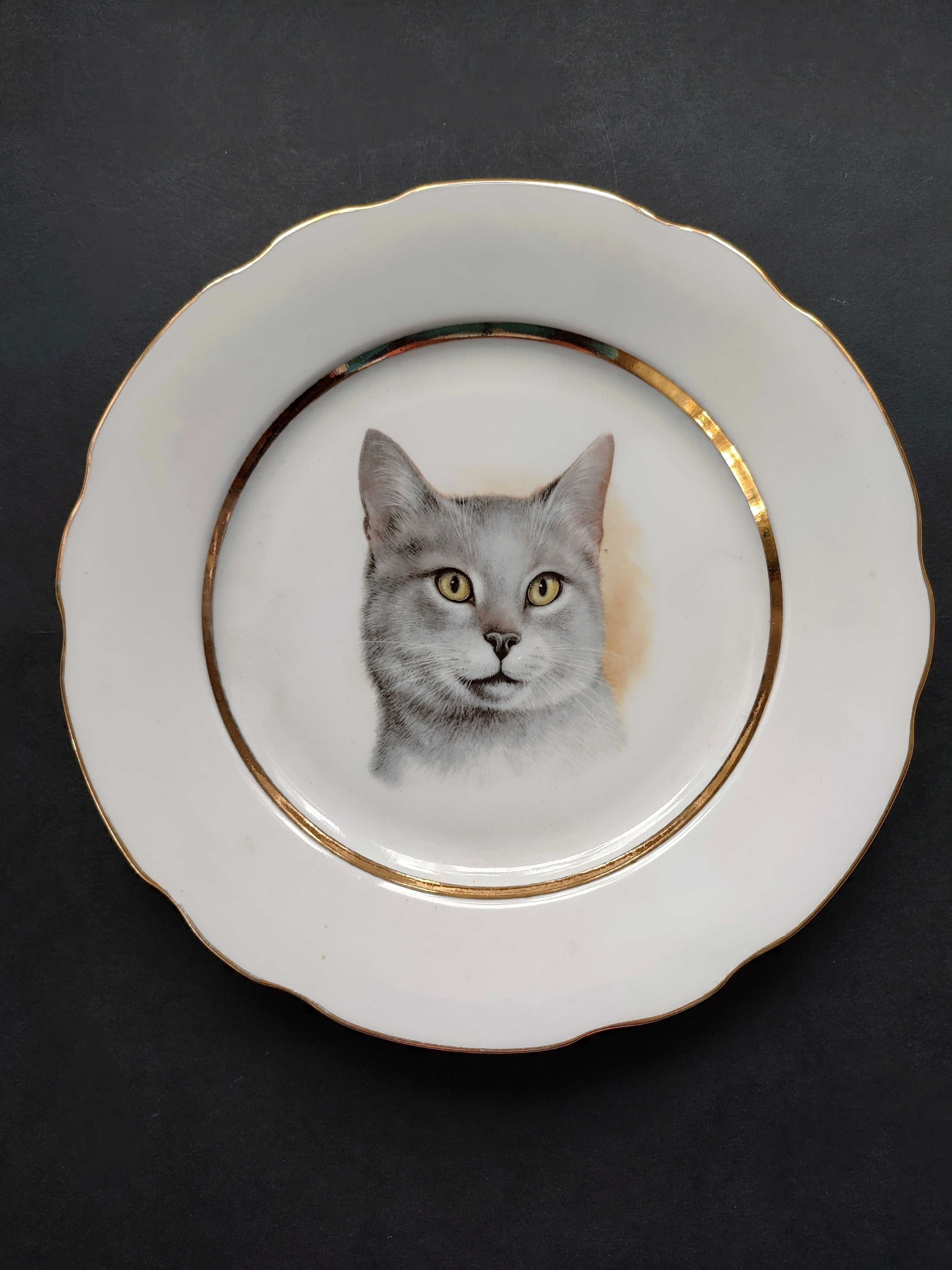 Вінтаж, порцелянова тарілка A.G.L.Gibtware Lord Nelson, сірий кіт