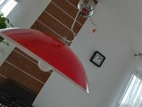 Lampa wisząca Szkło - Chrom  +  Gratis !