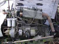 Robur cesci rozne